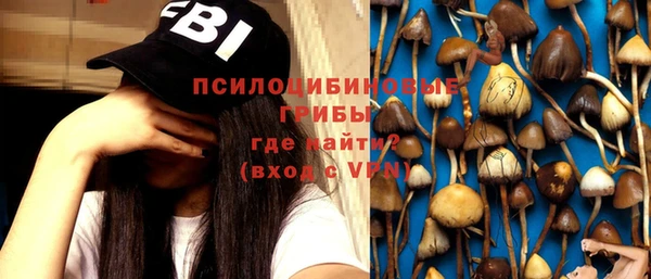 mdpv Верея