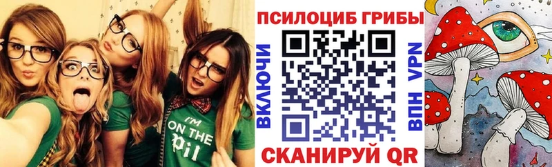 МЕГА как зайти Орск Галлюциногенные грибы прущие грибы где продают
